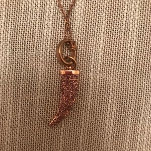 Betsey Johnson Rose Gold horn pendant necklace